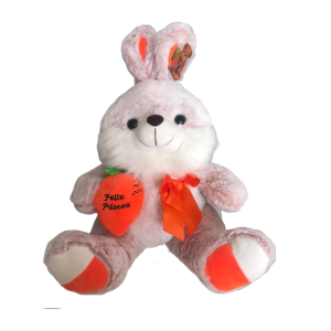 Coelho de Palúcia Médio com Cenoura.