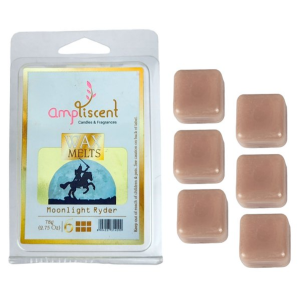 PASTILHA WAX MELT AMPLISCENT - MOONLIGHT RYDER