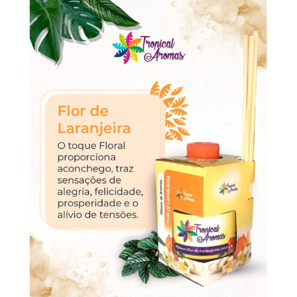 https://mail.adrianacristinamigliati.futurasistemas.com.br/image/cache/data/eftr/Img_ftr_rp_361401-580x580.PNG