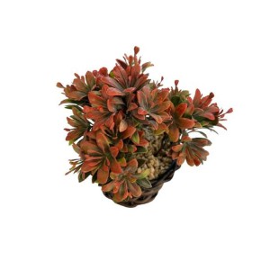 Arranjo Folhagem Artificial