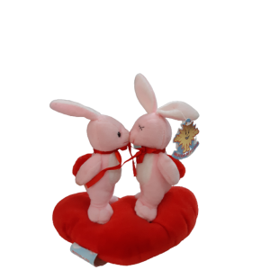 CASAL DE COELHO NO CORACAO